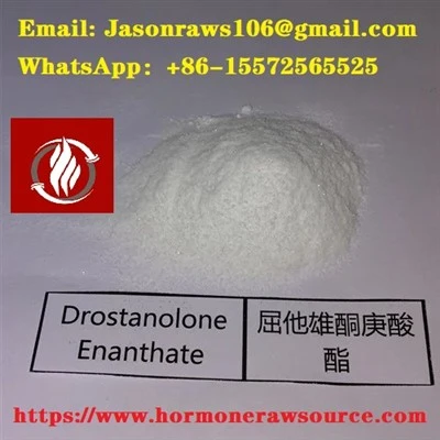 Drostanolone Enanthate Steroids Powder για Bodybuilding CAS: 13425-31-5